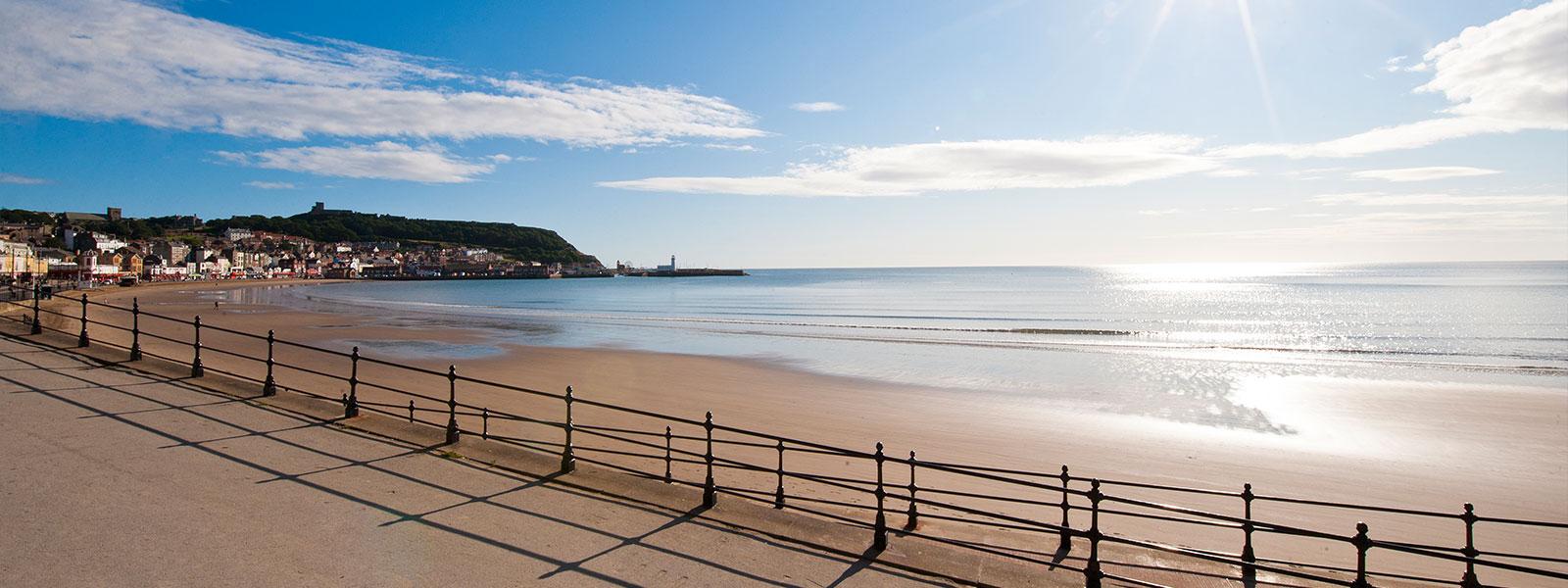 Great Location in Scarborough